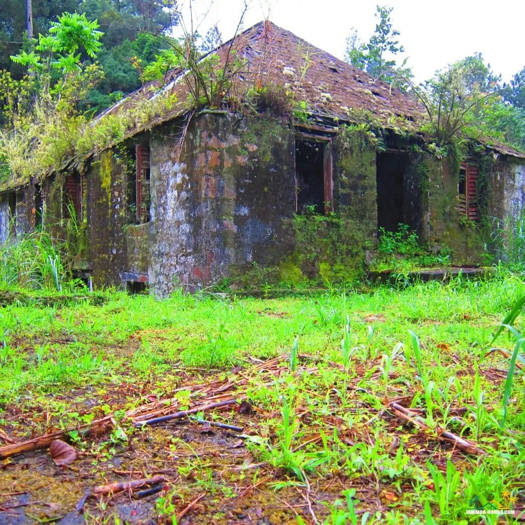 Clydesdale National Forest Park is nestled in the hills of the Blue Mountain range, making it a serene and beautiful escape from the hustle and bustle of everyday life. 