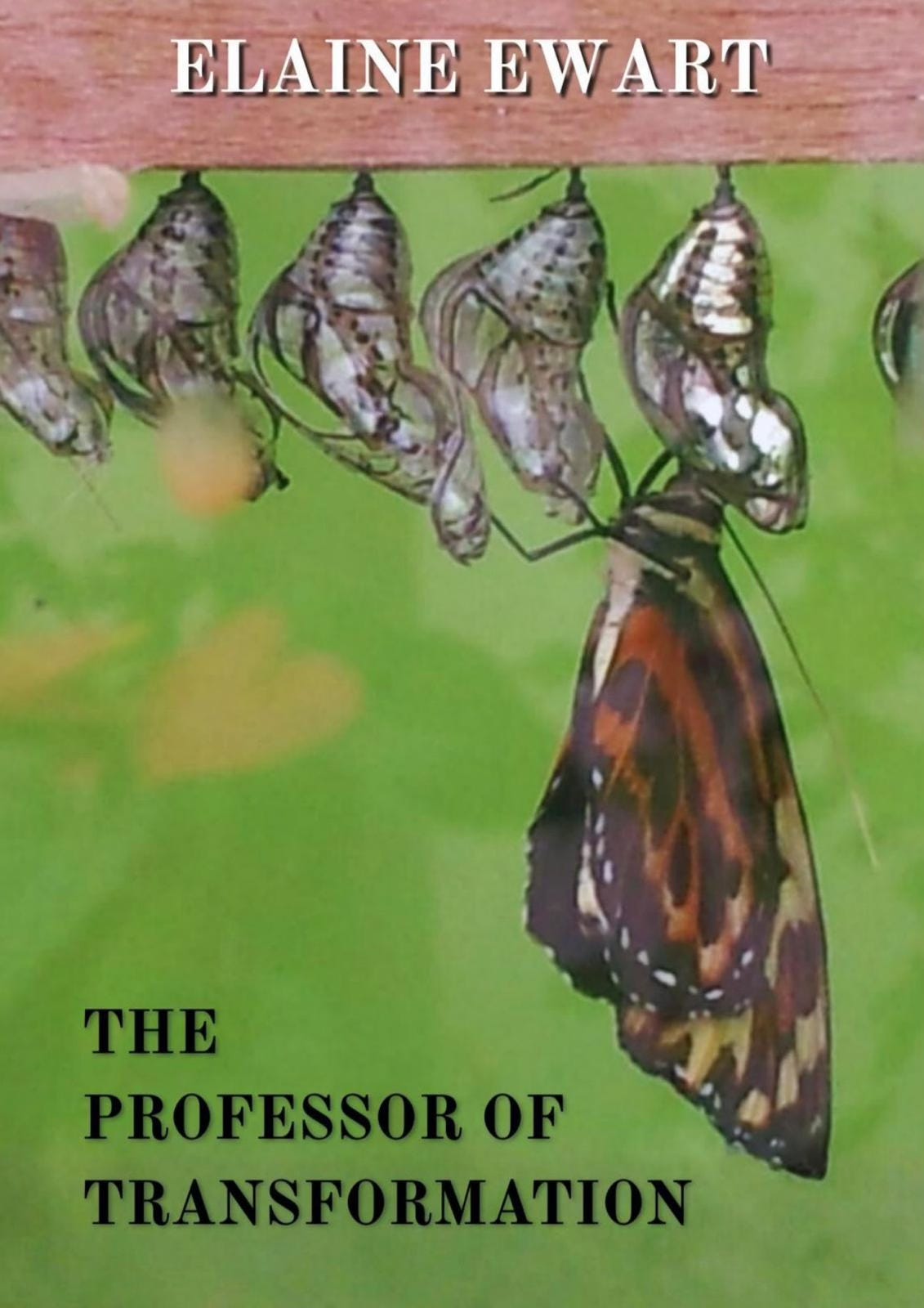 A row of chrysalises hanging from a beam of wood. One unfolds into a butterfly. All against a bright green background.