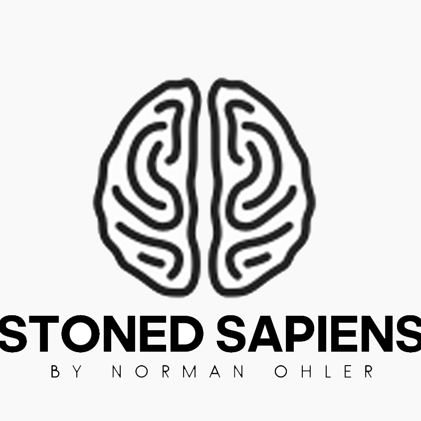Stoned sapiens