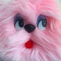 Santa Yoli's avatar