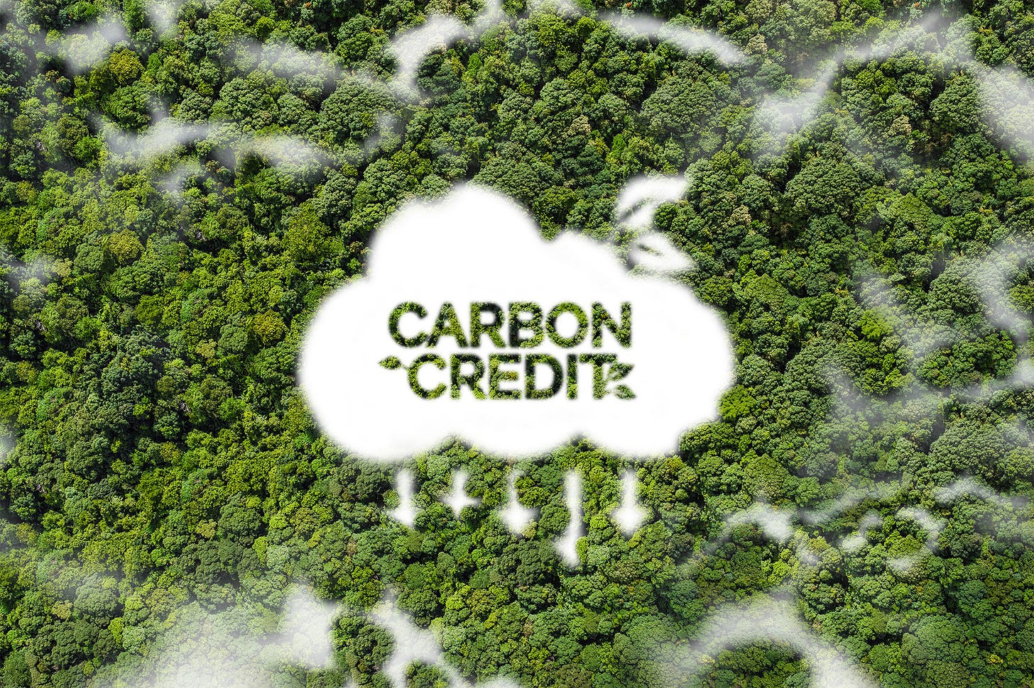 Explained: Carbon credits | MIT News | Massachusetts Institute of ...