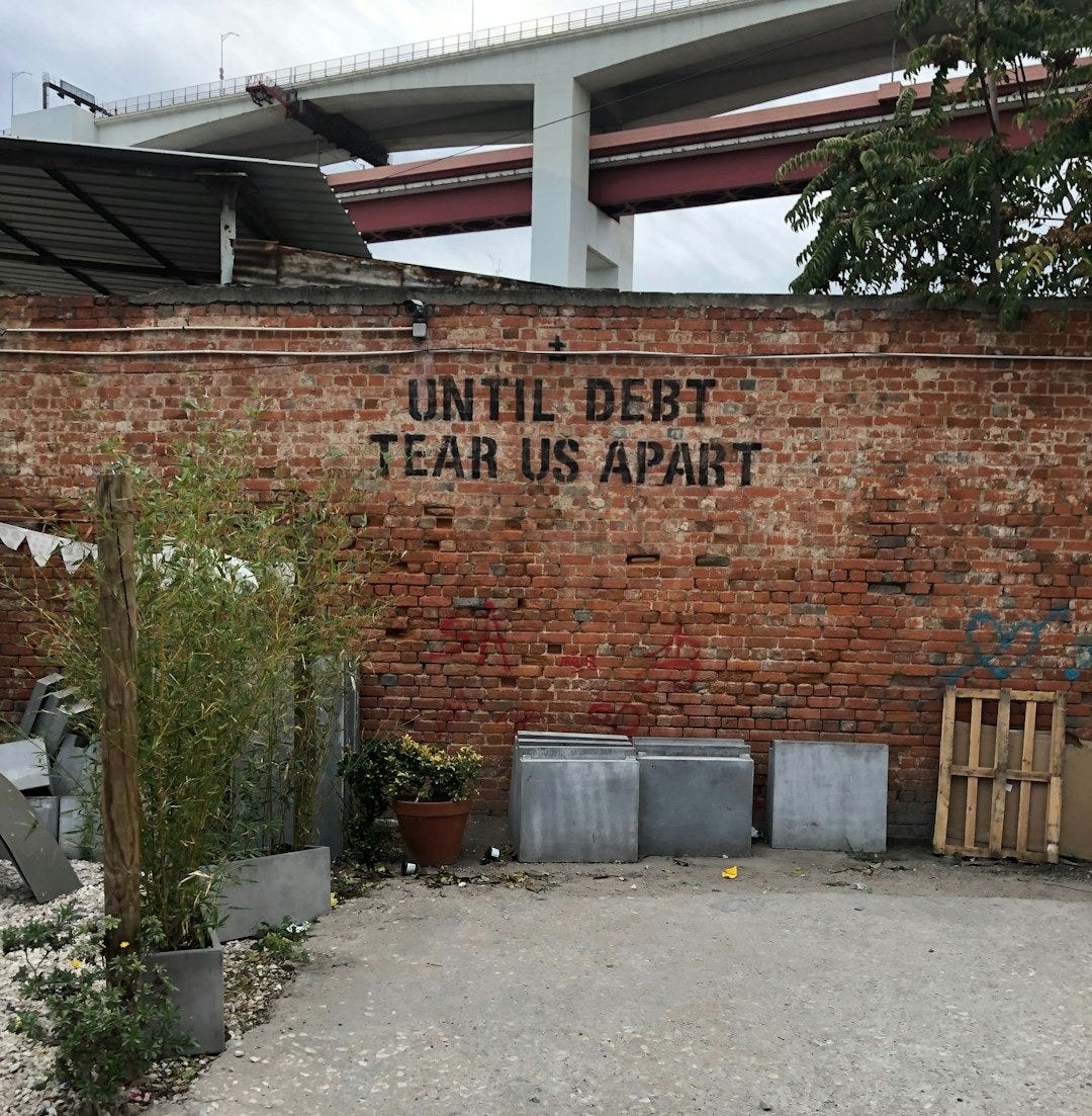 green leafed plant beside fence