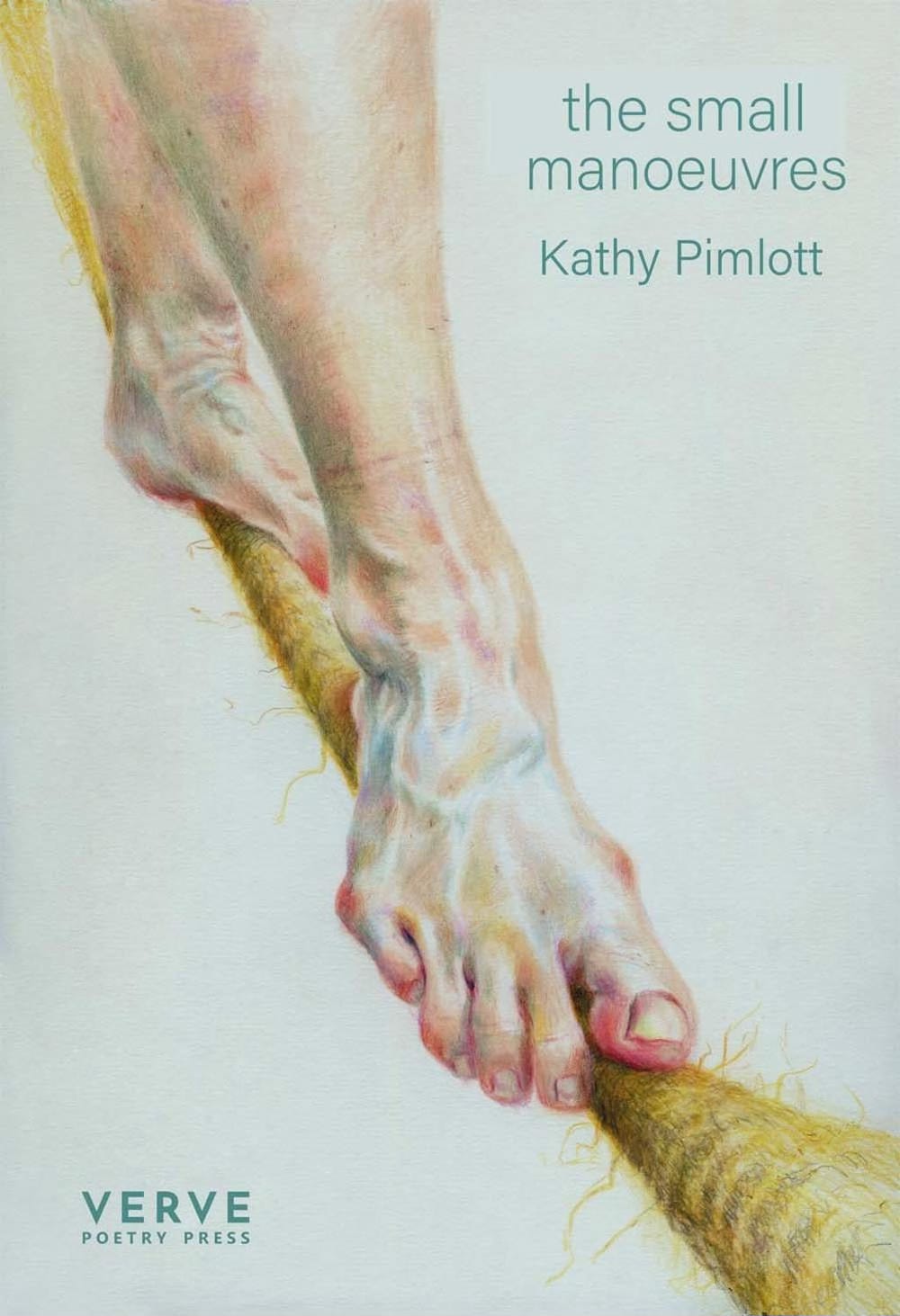 Book cover showing two feet walking along a tightrope