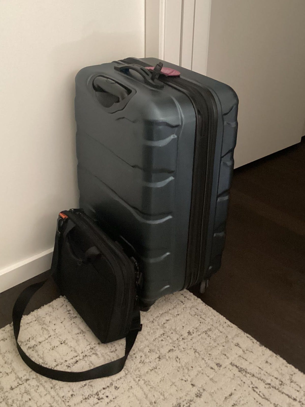 Checked luggage with Briggs and Riley bag