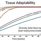 Tendon Properties & Nutrition: Tendon Care & Elite Food + Supplementation Concepts, Nutrition for Higher Level Adaptations, Health & Performance