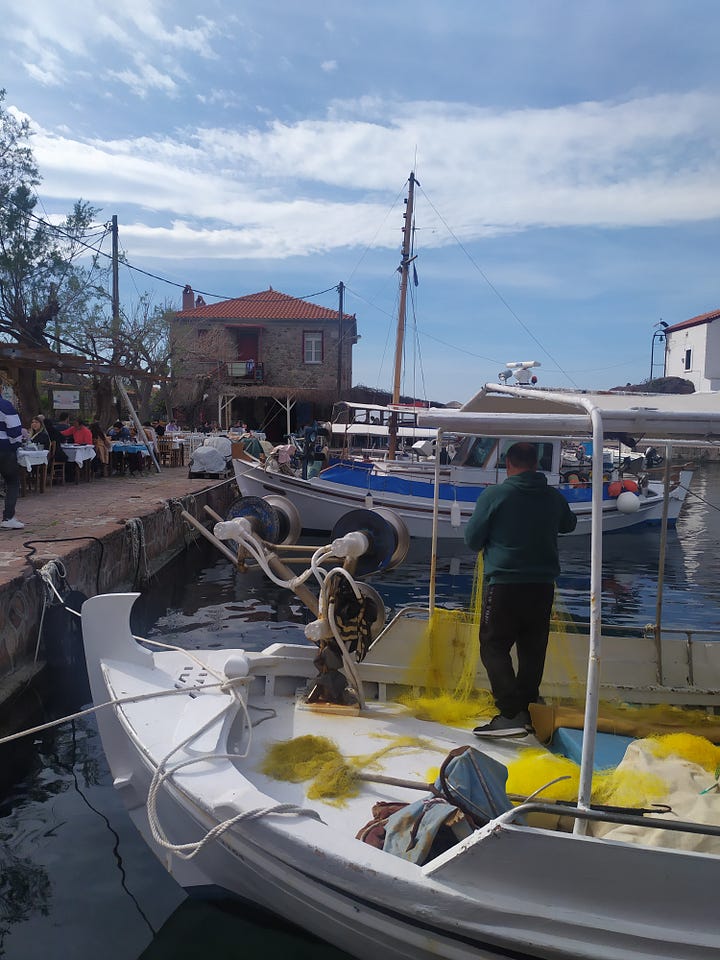 Ανεμόεσσα