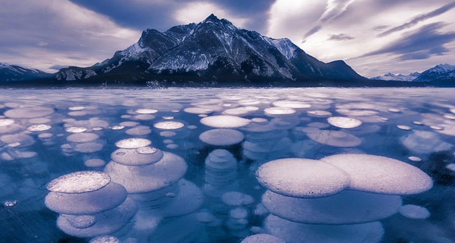 Frozen Methane Bubbles at Abraham Lake