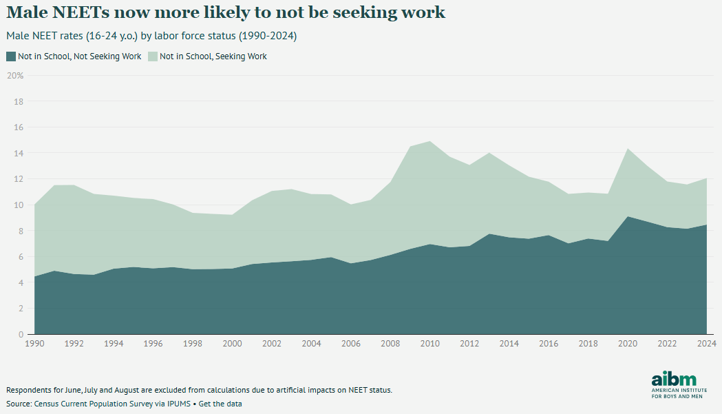 American Institute for Boys and Men graph showing young male NEETs by labour force status.