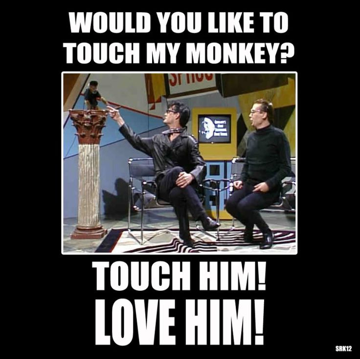 Dieter's Monkey | Saturday night live, Saturday night, Memes