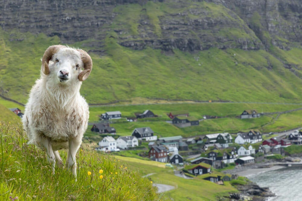 The romance of the unknown Faroe Islands - Travellizy