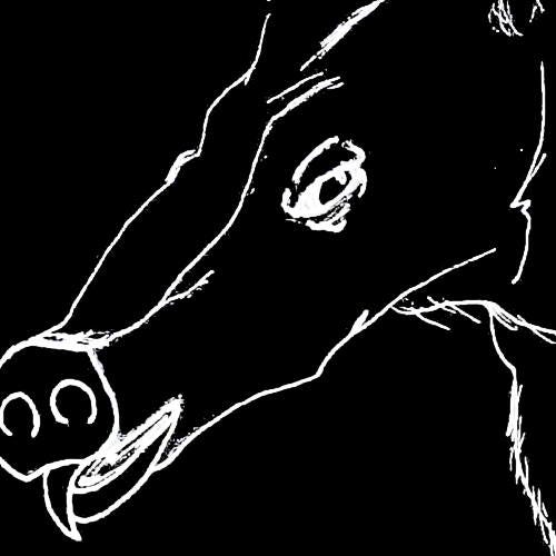 Substack profile picture for @aardvark