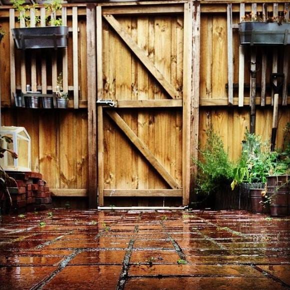summer rain