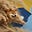 The Palmetto Doge's avatar