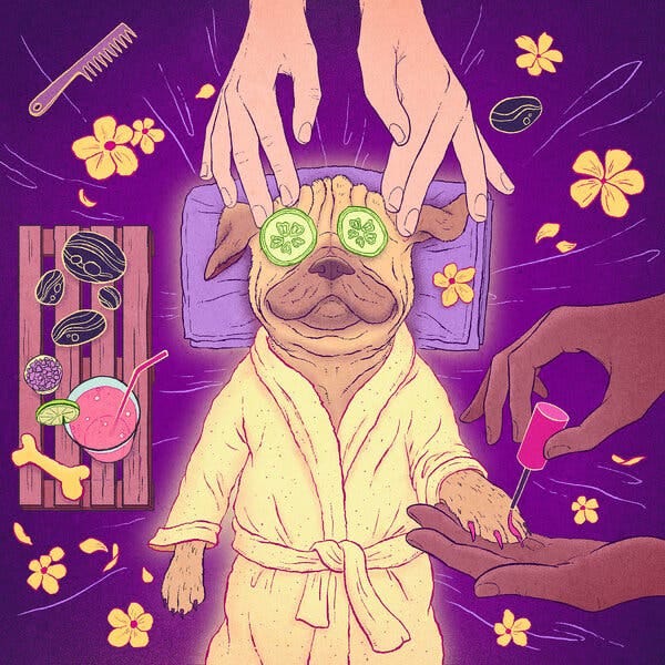 An illustration shows a light brown dog enjoying a spa day. It wears a cream-colored robe and has cucumber slices on its eyes. Hands massage its head and paint its nails. A tray with a pink drink and dark stones sits beside it. Yellow flowers and more dark stones decorate the purple background. A purple comb is in the corner.