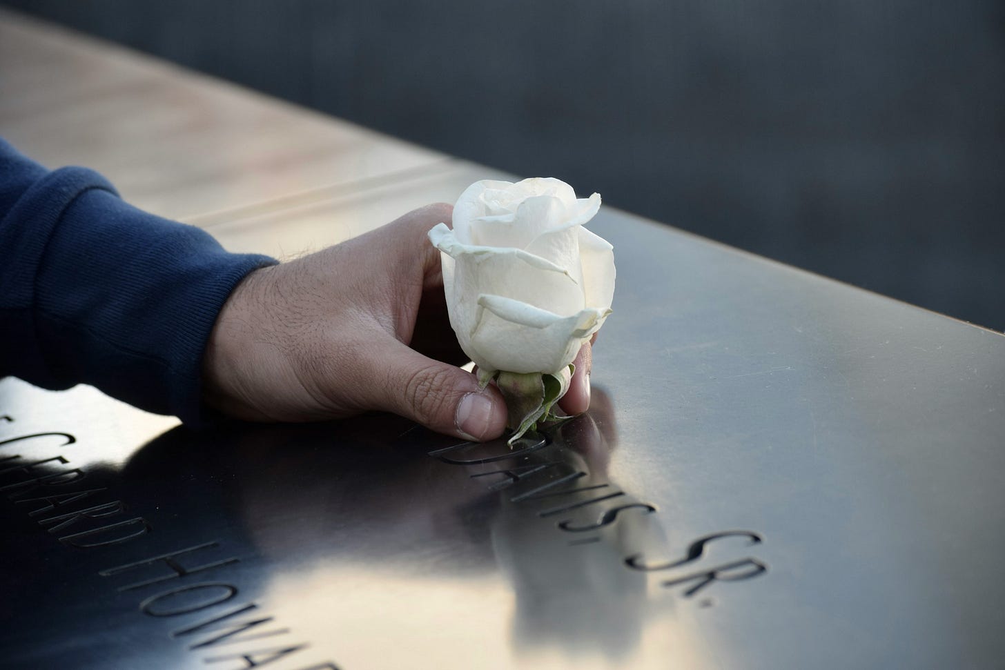 Hand placing a white rose at the World Trade Center Memorial. Hand placing a white rose at the World Trade Center Memorial.