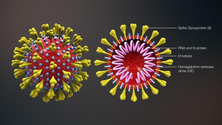 COVID-19 vaccine development — Oxford Vaccine Group