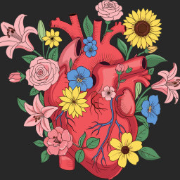 High Income, Low Chill