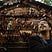 Guga Gogia's avatar