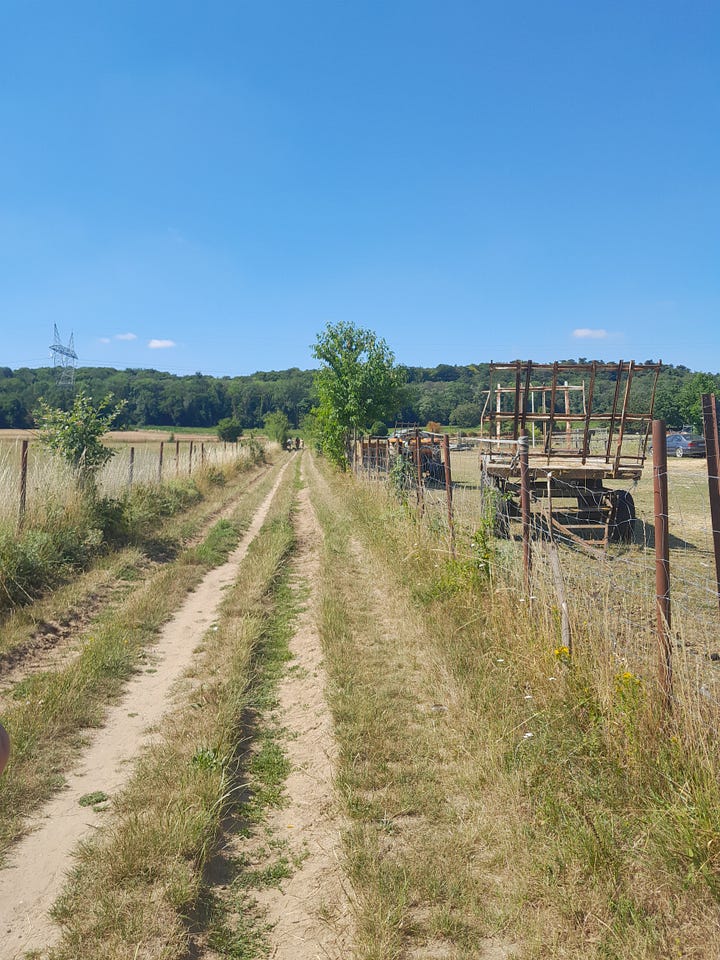 Photo de champs, chemin dans les champs, forêts et personnes qui marchent dans la forêt