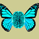 Neuroqueering