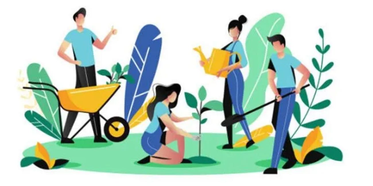 Palma Sola Botanical Park Seeks High School Volunteers for Bright Futures Hours