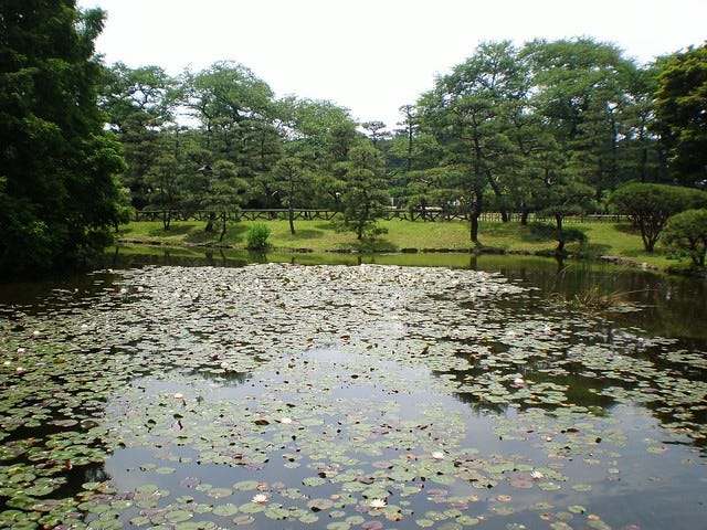 Jindai Botanical Gardens Jindai Botanical Gardens