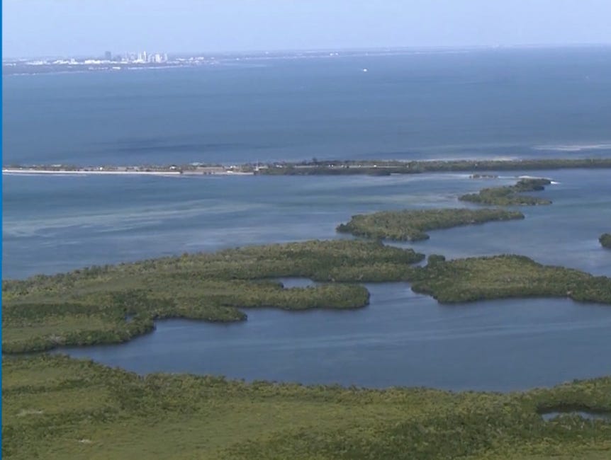 Developer Proposes Transforming 13-Acre Tampa Bay Island Near Manatee County Cruise Port Plan Into Tourist Destination