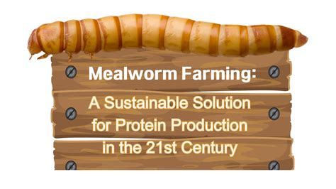 Mealworm Farming: A Sustainable Solution for Protein Production in the ...