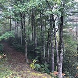 Essential Nature