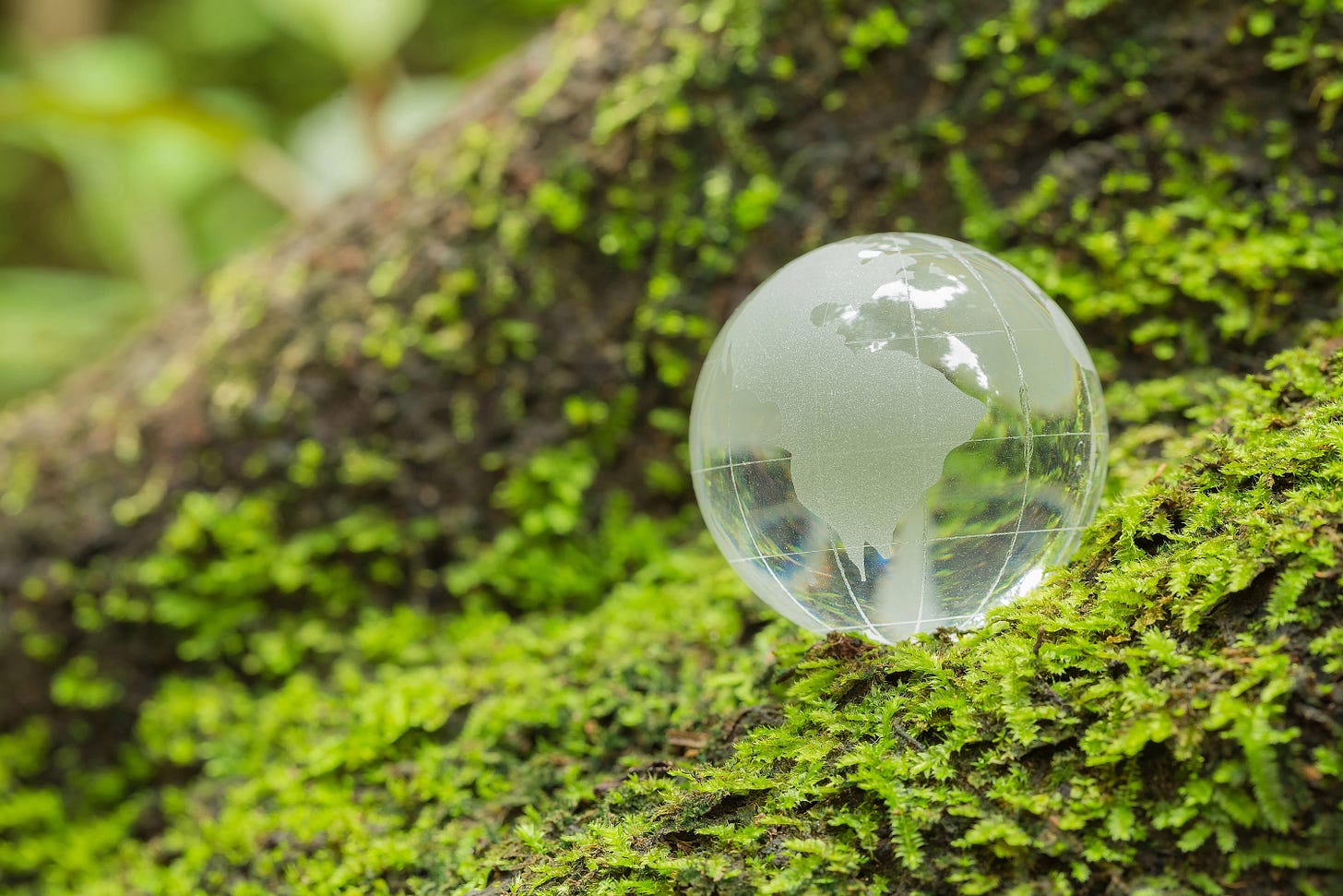 Glass ball shaped like Earth in a forest setting