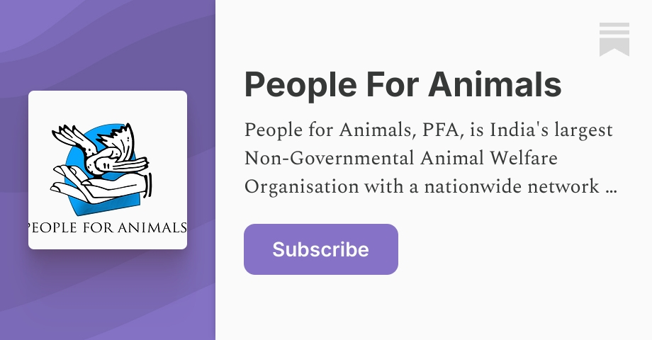 Roads. Open markets. Your bathroom. That is where labs can now get animals.