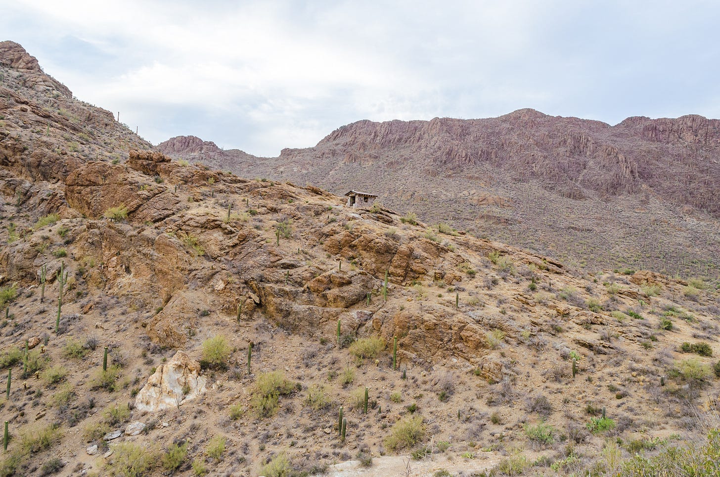 Discrete shelter on a mountain ridge surrounded by saguaro cactus.