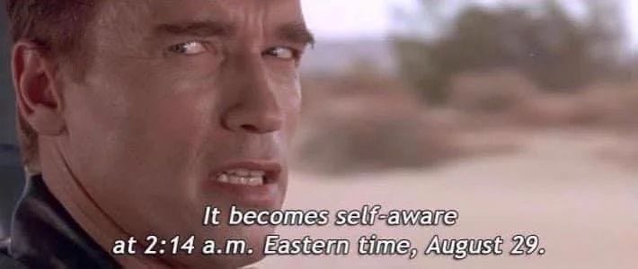 🎉 Happy Skynet Day! August 29th is the official date given by Arnold  Schwarzenegger's character in the film 'Terminator 2: Judgment Day' for  when Skynet, a man-made artificial intelligence program… | The