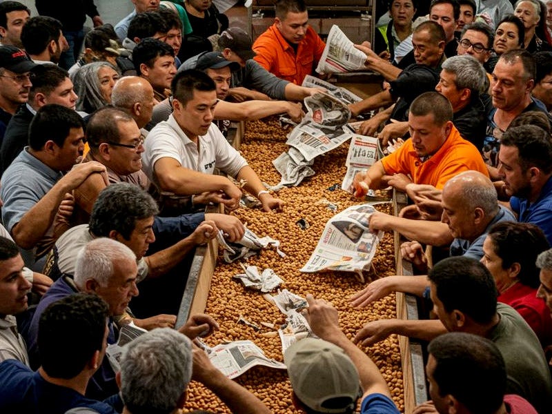 A group of people jostling around a trough of peanuts and torn newspapers.