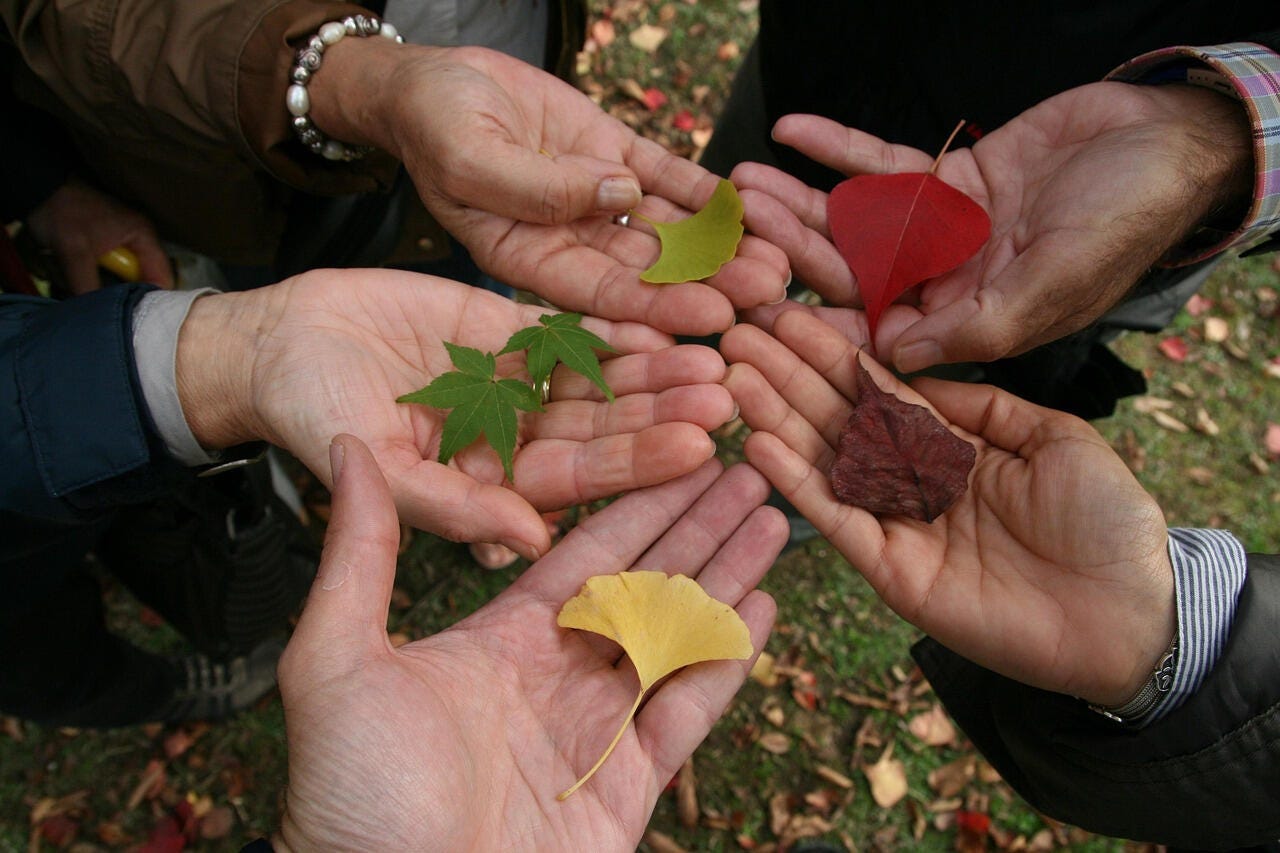 Pictured are the hands of four people holding various autumn leaves, representing tolerance and diversity.