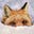 Teryn's avatar