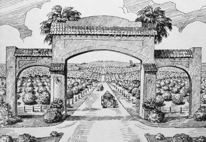 How A 1920s Florida Citrus Land Baron Created The Acid Test For Crypto  Tokens