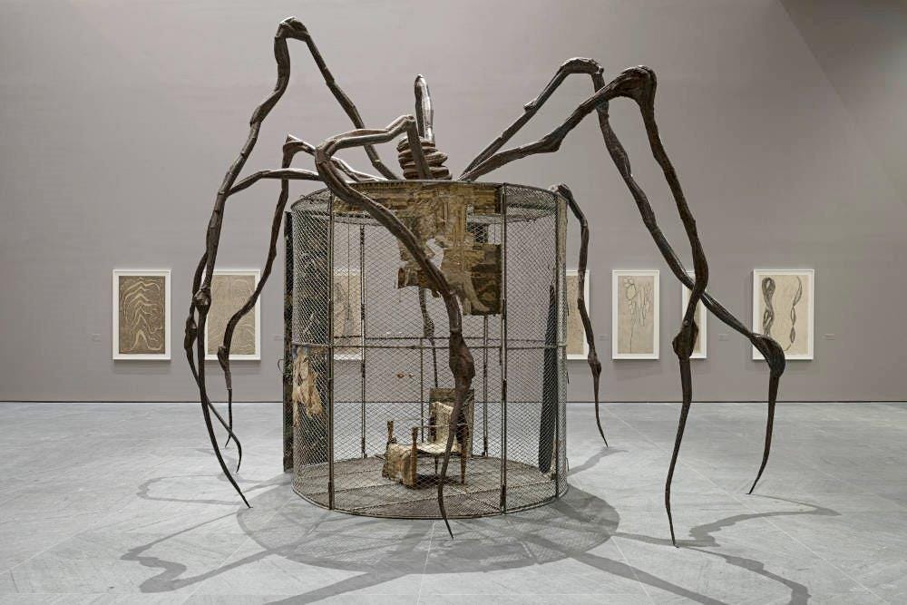A large spider in a cage
AI-generated content may be incorrect. A large spider in a cage
AI-generated content may be incorrect.