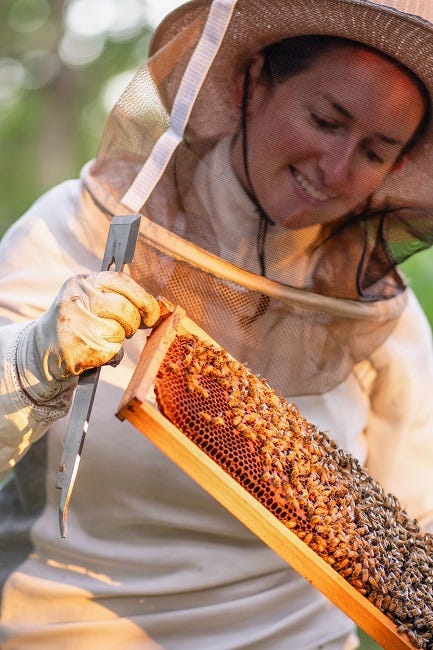 beekeeper holding a frame of honey bees