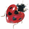 filmbug
