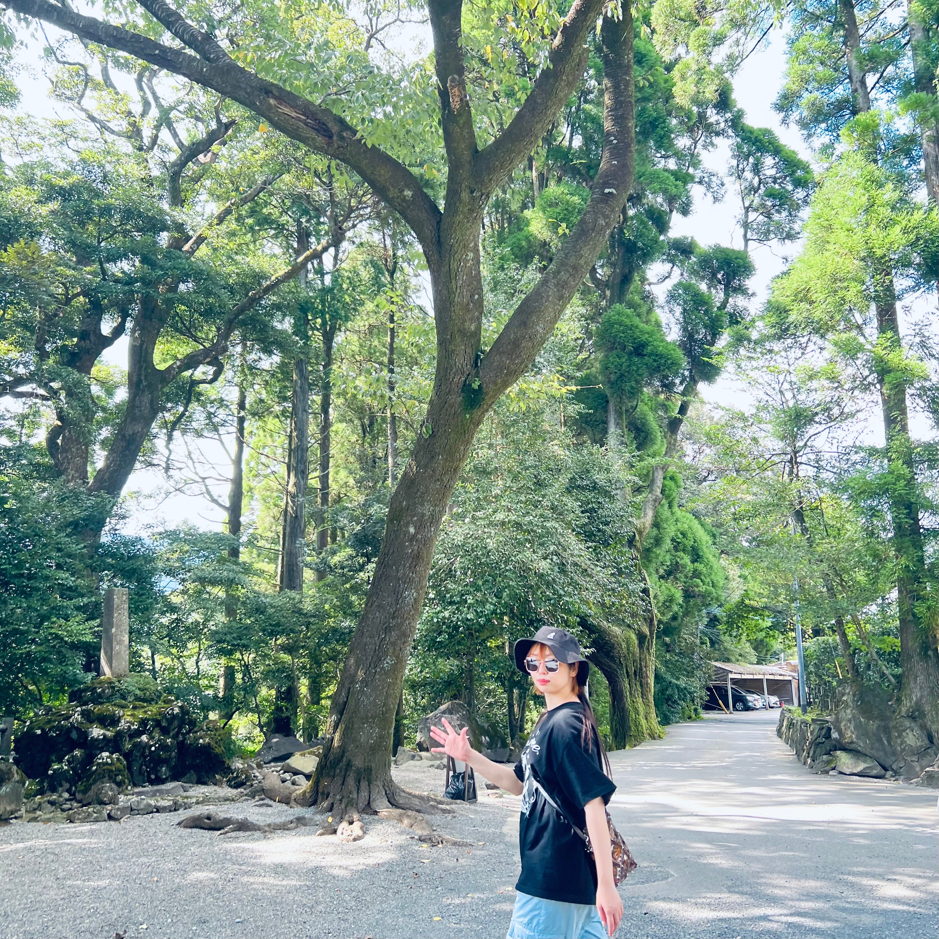 ぷにぷに通信 / Punipunidenki Newsletter #3