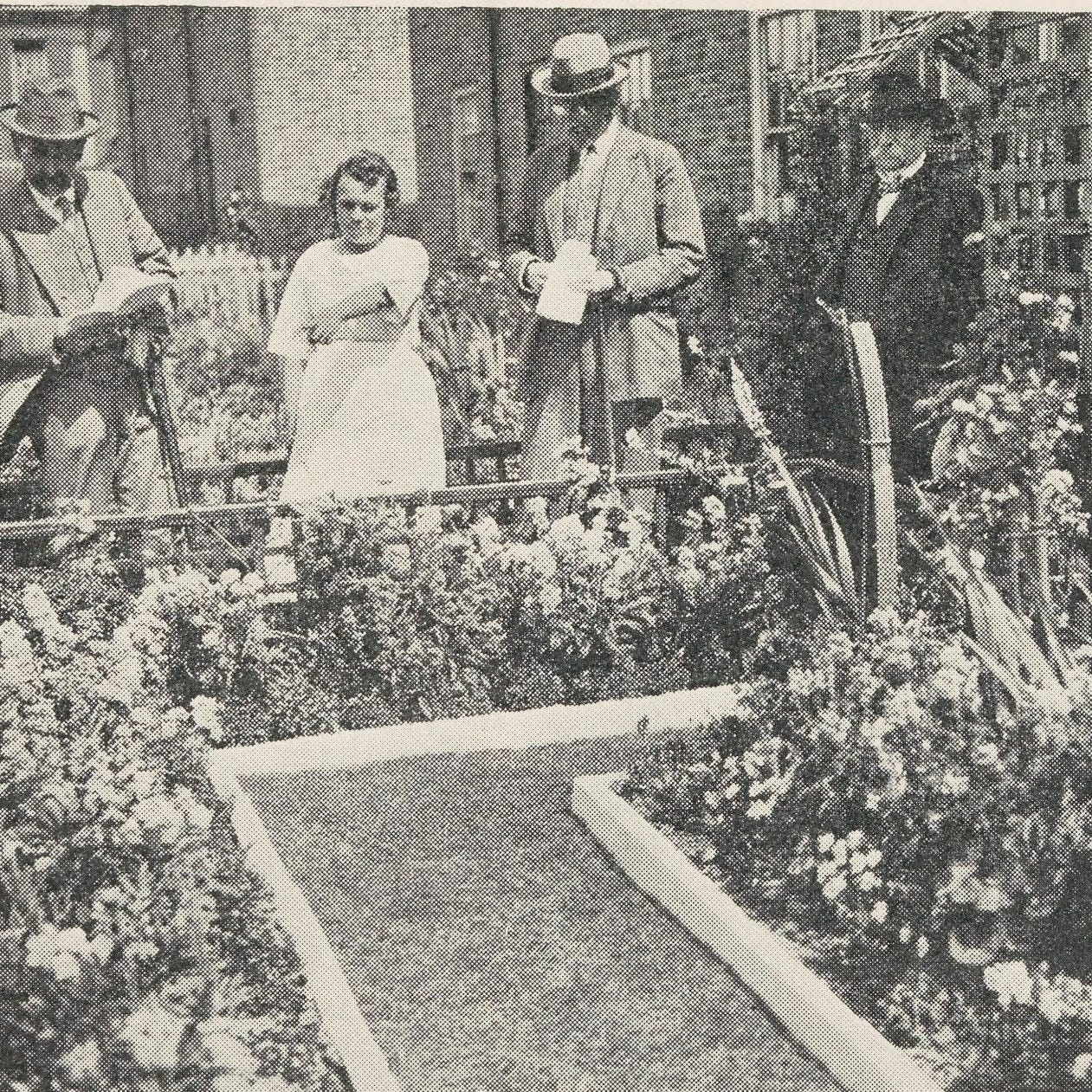 Behind the Privet Hedge