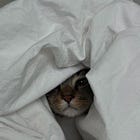 grosseira não, assertiva.