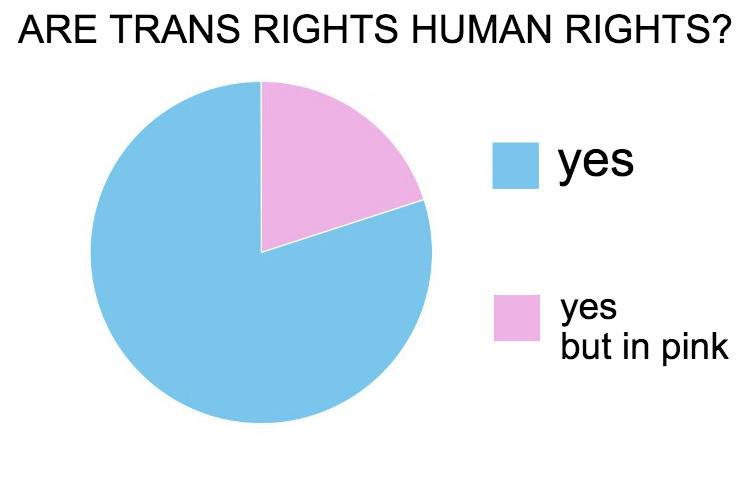 No photo description available.