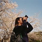 Spring’s First Messenger: Haru Ichiban and Japan’s Relay of Blossoms