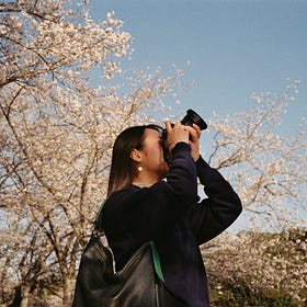 Spring’s First Messenger: Haru Ichiban and Japan’s Relay of Blossoms