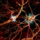 "My synapses are not the same" and post-mRNA cancer increase