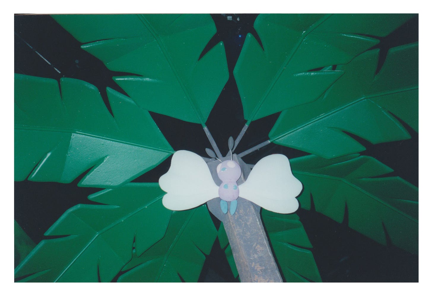 Butterfree could be found underneath a palm tree