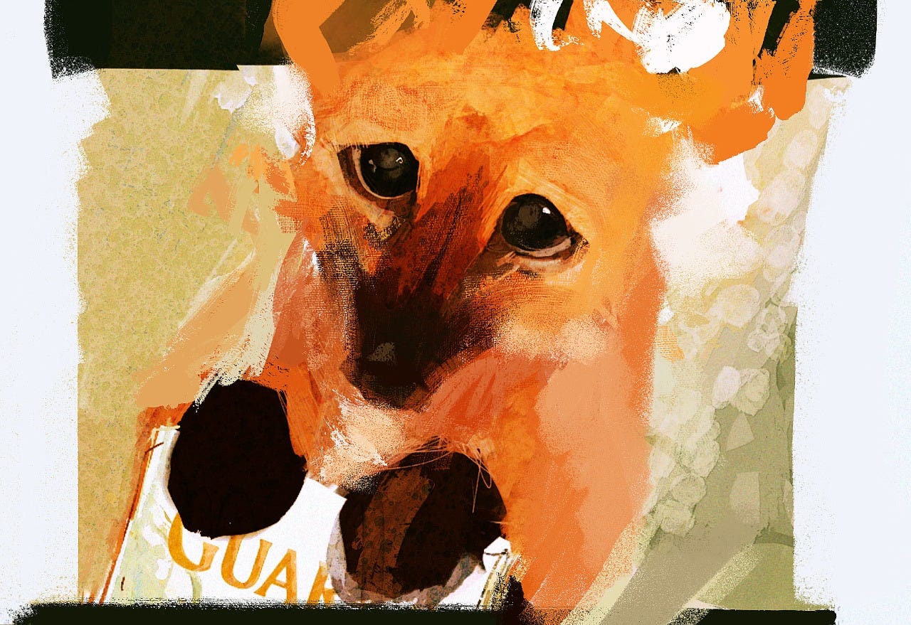 "Ilustra colorida, estilo aquarelado: um lobinho-guará, olhando pra cima, com as patinhas pretas juntas segurando um exemplar da nossa HQ GUARÁS. Seus olhinhos são redondos, aquosos e com uma carinha pidona de dó "