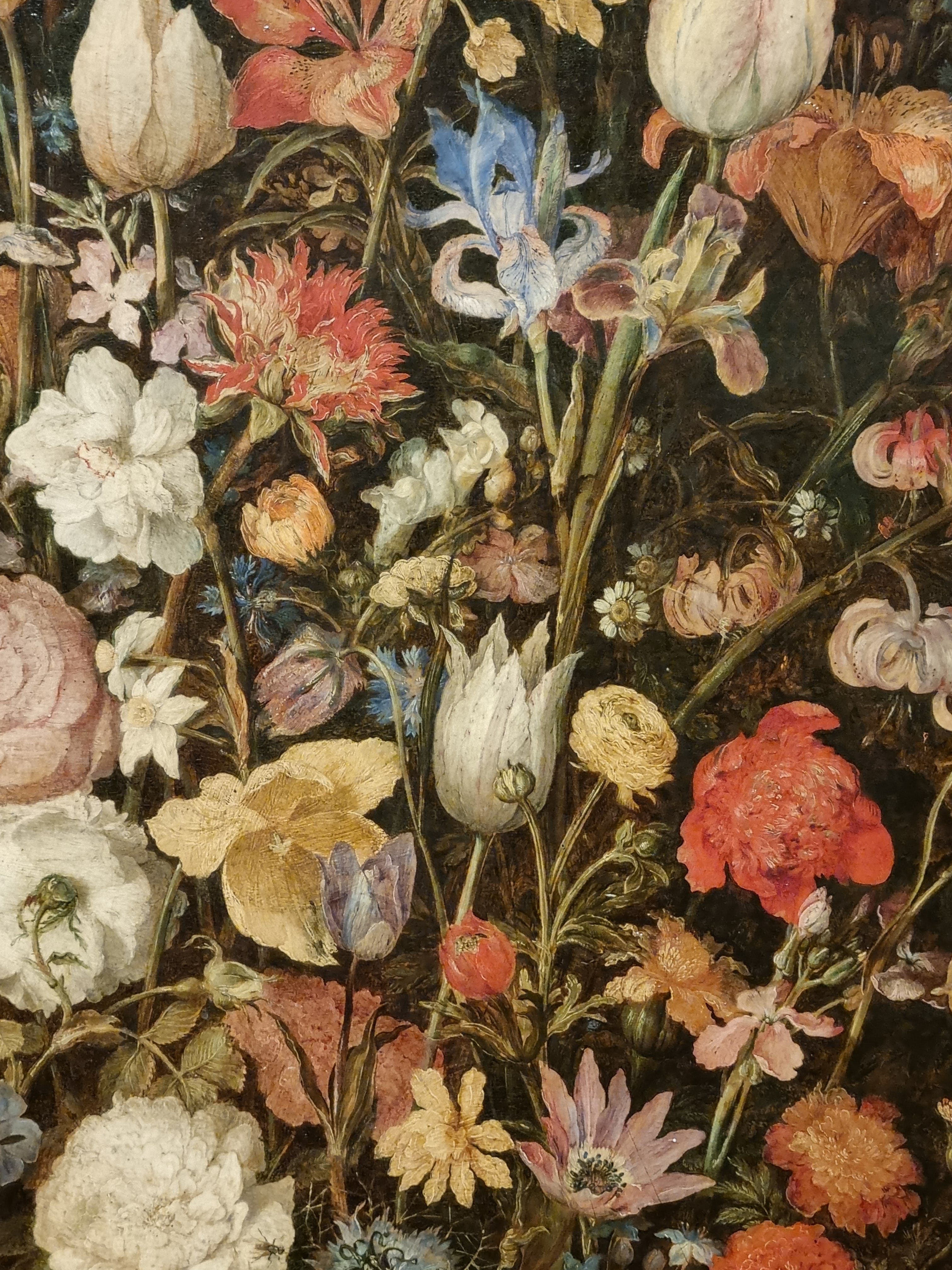 17世紀 花卉画 画集 17th-century Flower Painting 【公式通販】
